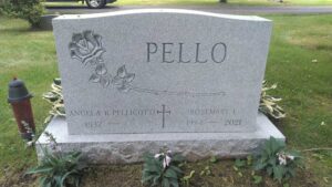 Cleaning Pello (after)